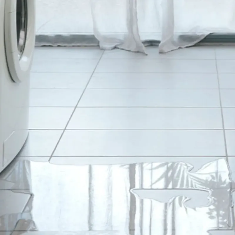 Appliance Leak Cleanup in San Benito, TX