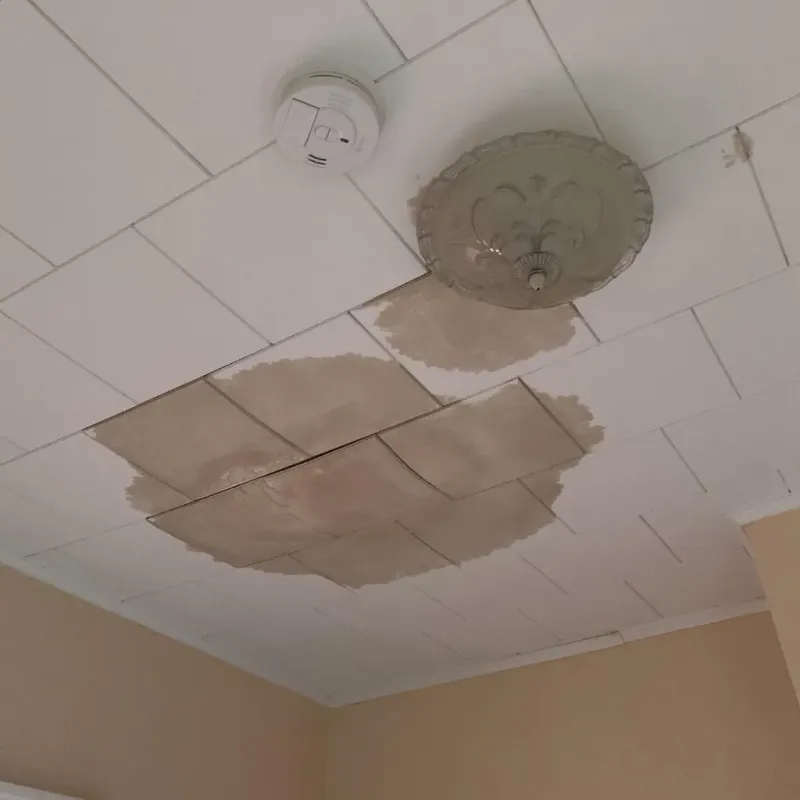 Ceiling Water Damage Repair in San Benito, TX