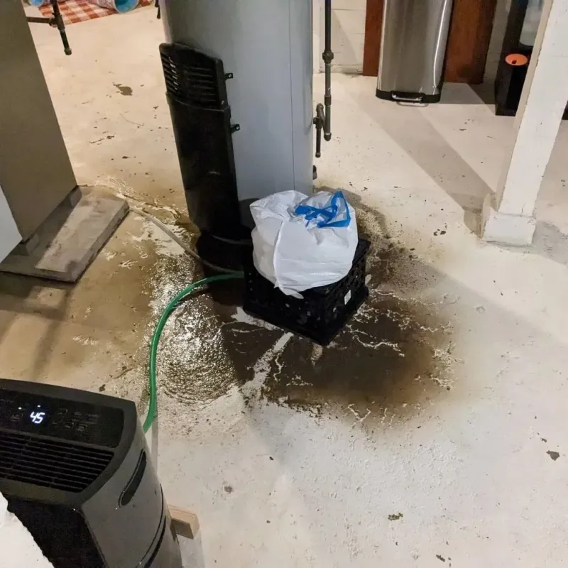 Sewage Backup Cleanup Service in San Benito, TX
